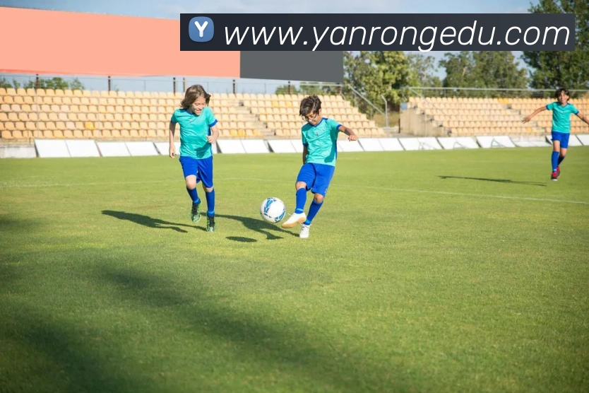 leyu乐鱼网页版在线登录全站App